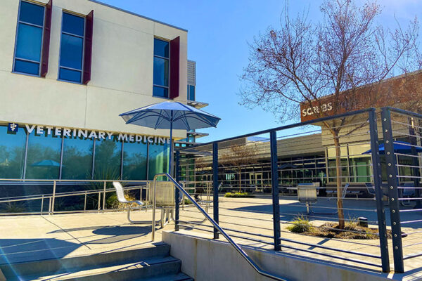 UC-Davis-School-of-Veterinary-Medicine-Sacramento