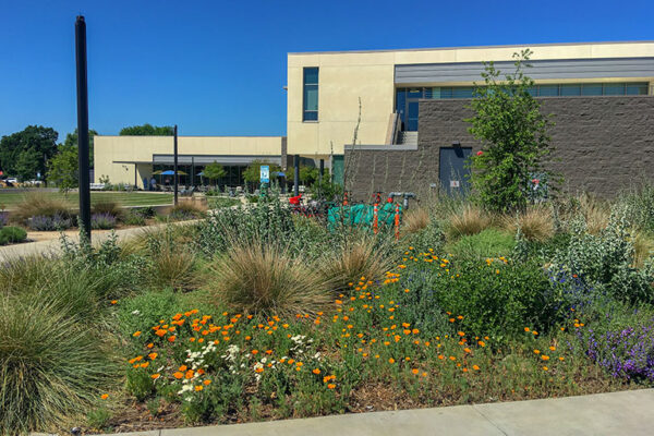 UC-Davis-Veterinary-Medicine-Administration-Building-Landscape-Sacramento