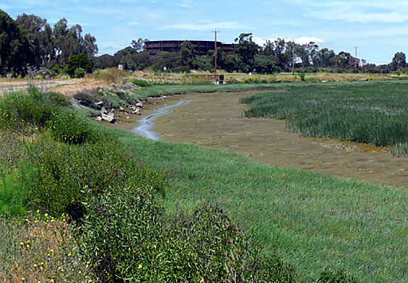 RWQCP-Palo-Alto-Baylands-Pipe-Civil-Engineering-Landscape-Architecture