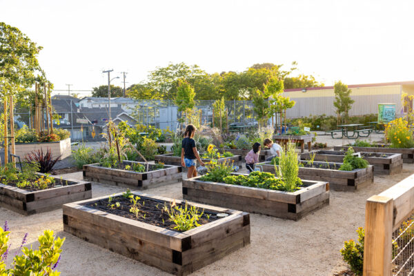 Siegfried-OUSD-Living Schoolyards (10)