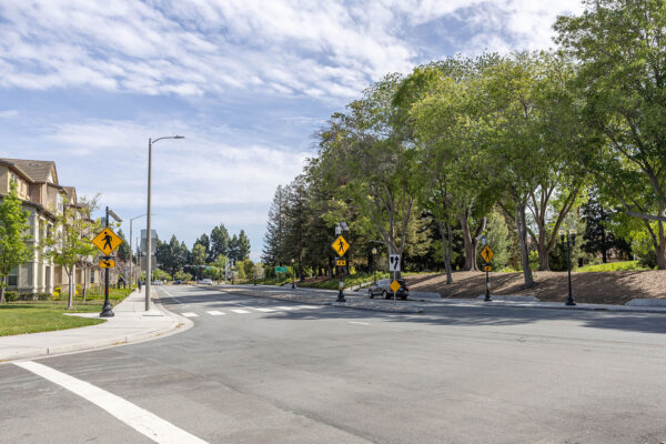 Siegfried-Sunnyvale Sense of Place-28-web