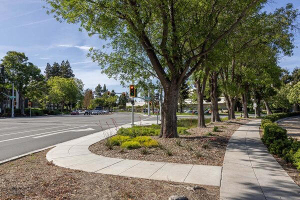 Siegfried-Sunnyvale Sense of Place-52-web