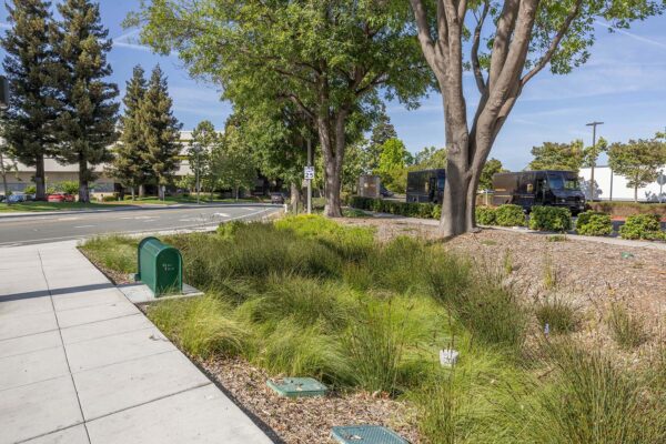 Siegfried-Sunnyvale Sense of Place-57-web