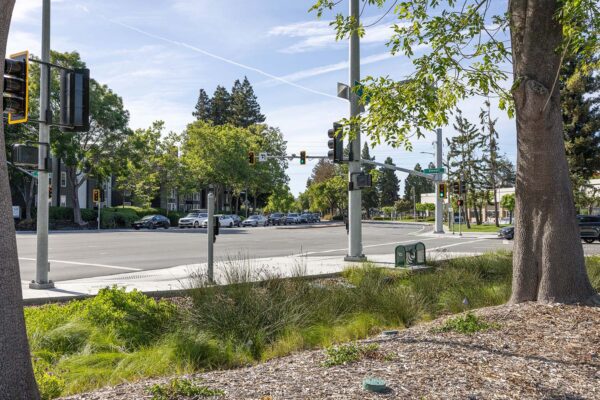 Siegfried-Sunnyvale Sense of Place-75-web