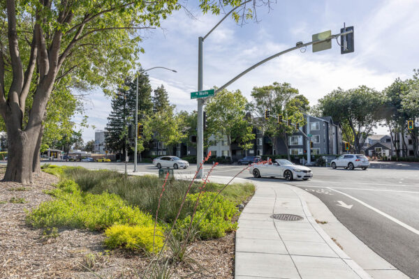 Siegfried-Sunnyvale Sense of Place-77-web